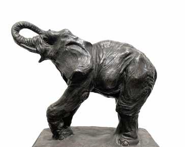 Mastroianni Alberto - Elefante *